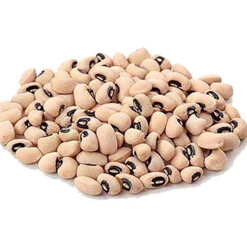 パンダ豆	 White Bean 